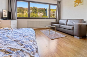 Studio cosy au centre de Crans-Montana